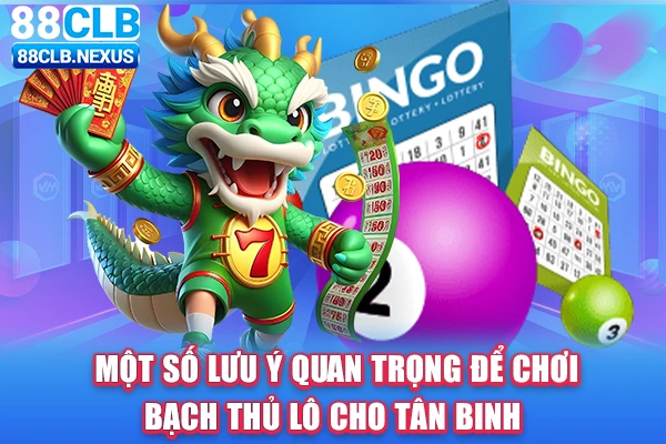 Một số lưu ý quan trọng để chơi bạch thủ lô cho tân binh